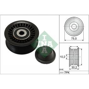 Achetez des Poulie renvoi / transmission, courroie trapézoïdale à nervures de chez INA en ligne pour Clio V 3/5 portes (BF, B7) à prix modérés