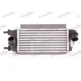 Kjøp Intercooler av FRIGAIR 0704.3137 til den lave prisen 2661,78 NOK
