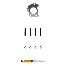 Comprar Juego de montaje, turbocompresor de ALANKO 10920713 a bajo precio de 20,32 €