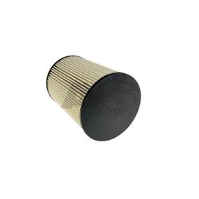 Kraftstofffilter F200 von AVS AUTOPARTS günstig für 59,52 € online kaufen