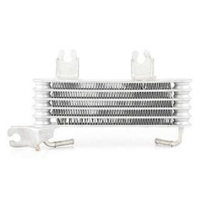 Acquista Radiatore olio motore da BSG BSG 40-506-005 a buon mercato per soli 83,78 €