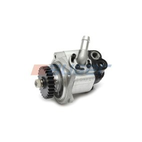 Achetez des Pompe de direction assistée AUGER 65289 à prix pour 235,44 €