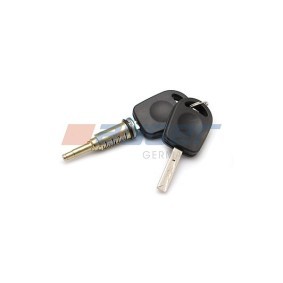 Schließzylinder 66388 MAN von AUGER