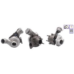 Comprar Turbocompresor de LUCAS LTRPA53039880122 a bajo precio de 438,15 €