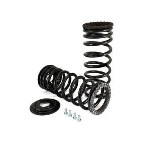 Compre Kit de suspensão, molas da Arnott C-2203 a um preço baixo por 551,60 €