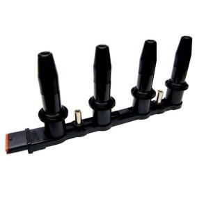 Zündspule BOBEN011 von LIZARTE günstig für 101,87 € online kaufen