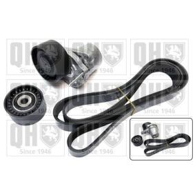 Compre Jogo de correias trapezoidais estriadas da QUINTON HAZELL QDK128 a um preço baixo por 119,67 €