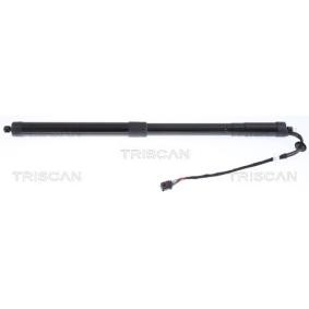 Heckklappendämpfer 8710 20301 von TRISCAN günstig für 331,47 € online kaufen