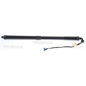 Heckklappendämpfer 8710 20302 von TRISCAN günstig für 126,96 € online kaufen