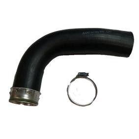 Compre Tubo flexível do ar de sobrealimentação da BUGIAD 81882 a um preço baixo por 52,36 €