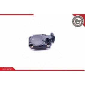 Comprar Válvula, ventilación cárter de ESEN SKV 31SKV073 a bajo precio de 30,24 €