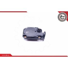 Comprar Válvula, ventilación cárter de ESEN SKV 31SKV074 a bajo precio de 28,48 €