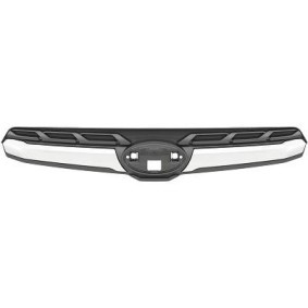 Blende, Kühlergitter 6243043 von DIEDERICHS günstig für 59,14 € online kaufen