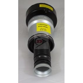 Luftfederbein DAS10066 von Dunlop günstig für 212,42 € online kaufen