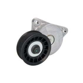 Spannrolle, Keilrippenriemen E3G0016BTA von BTA günstig für 64,74 € online kaufen