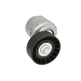 Spannrolle, Keilrippenriemen E3G0017BTA von BTA günstig für 38,26 € online kaufen