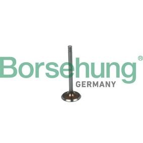 Einlaßventil B19016 von Borsehung günstig für 14,57 € online kaufen