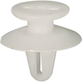 Compre Friso da porta de RESTAGRAF online para Focus Mk4 Turnier (HP) a preços moderados