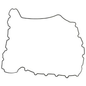 Steuergehäusedichtung des Herstellers LEMA - Originalware Artikelnummer: 26225.12