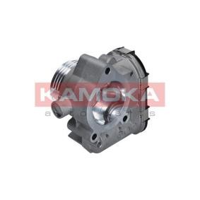 Compre Corpo de borboleta da KAMOKA 112020 a um preço baixo por 105,56 €