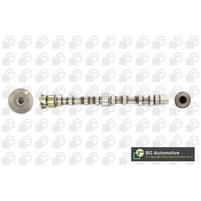 Nockenwelle CS0129 von BGA günstig für 209,74 € online kaufen
