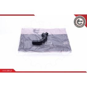 Compre Tubo flexível do óleo de ESEN SKV online para W124 Carrinha (S124) a preços moderados