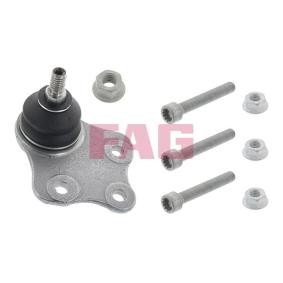 Traggelenk 825 0344 10 von FAG günstig für 31,64 € online kaufen