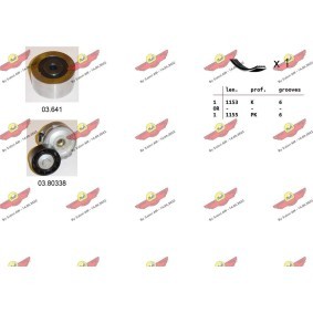 Keilrippenriemensatz 06.0132 von AUTOKIT günstig für 132,62 € online kaufen