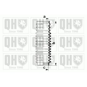Compre Jogo de foles, direcção da QUINTON HAZELL QG1510 a um preço baixo por 18,14 €