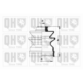 Compre Jogo de foles, veio de transmissão da QUINTON HAZELL QJB243 a um preço baixo por 7,87 €