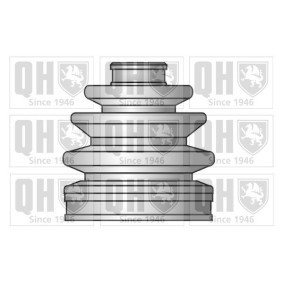 Compre Jogo de foles, veio de transmissão da QUINTON HAZELL QJB422 a um preço baixo por 9,17 €