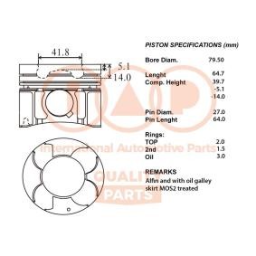 Kolben 100-07096 von IAP QUALITY PARTS günstig für 451,73 € online kaufen