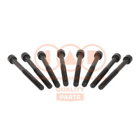 Zylinderkopfschraubensatz 119-17006 von IAP QUALITY PARTS günstig für 74,87 € online kaufen