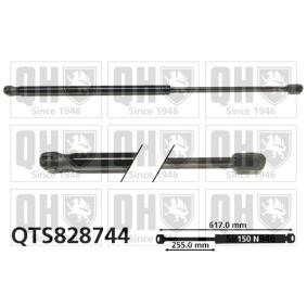 Gasfeder, Verdeck QTS828744 RENAULT von QUINTON HAZELL
