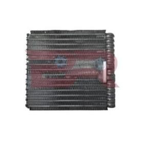 Acquista Condensatore climatizzatore da BOTTO RICAMBI BRAC4748 a buon mercato per soli 253,11 €