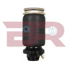 Acquista Ammortizzatore, Sospensione cabina da BOTTO RICAMBI BRCA4016S a buon mercato per soli 105,96 €