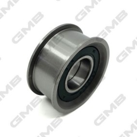 Spannrolle, Zahnriemen GT10072 von GMB günstig für 21,04 € online kaufen
