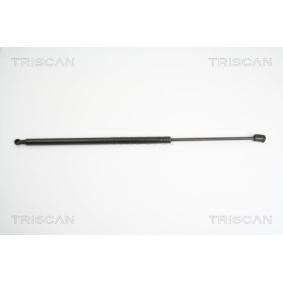 Heckklappendämpfer 8710 11226 von KAWE günstig für 25,05 € online kaufen