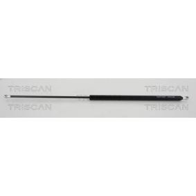 Heckklappendämpfer 8710 25221 von KAWE günstig für 22,21 € online kaufen