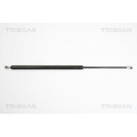Heckklappendämpfer 8710 25229 von KAWE günstig für 23,65 € online kaufen