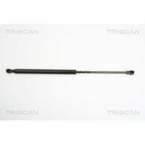 Heckklappendämpfer 8710 25234 von KAWE günstig für 19,64 € online kaufen