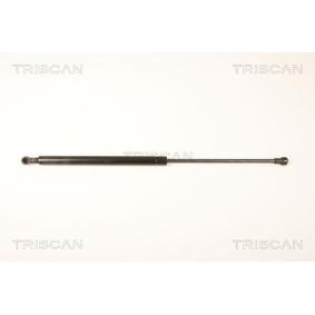 Heckklappendämpfer 8710 25245 von KAWE günstig für 21,77 € online kaufen