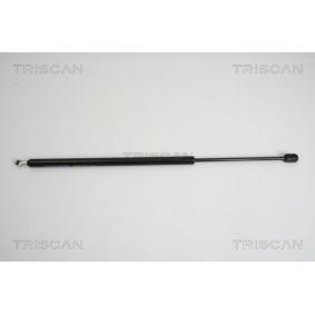 Heckklappendämpfer 8710 38224 von KAWE günstig für 22,41 € online kaufen