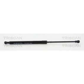 Heckklappendämpfer 8710 38232 von KAWE günstig für 23,94 € online kaufen