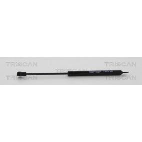 Gasfeder, Heckscheibe 8710 38241 von KAWE günstig für 17,82 € online kaufen
