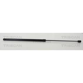 Heckklappendämpfer 8710 38245 von KAWE günstig für 33,80 € online kaufen