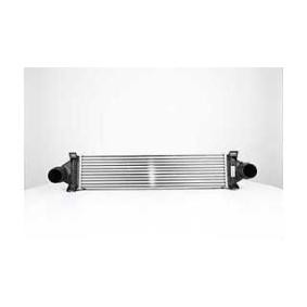 Ladeluftkühler BSG 15-535-013 von BSG günstig für 177,20 € online kaufen
