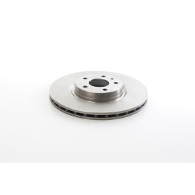 Bremsscheibe BSG 25-210-004 von BSG günstig für 63,53 € online kaufen