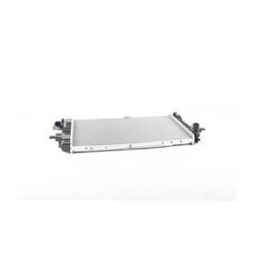 Compre Radiador, arrefecimento do motor da BSG BSG 65-520-040 a um preço baixo por 166,92 €