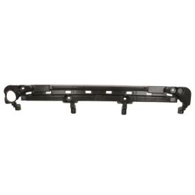 Comprar Soporte, parachoques de BLIC 5502-00-6012981P a bajo precio de 31,28 €